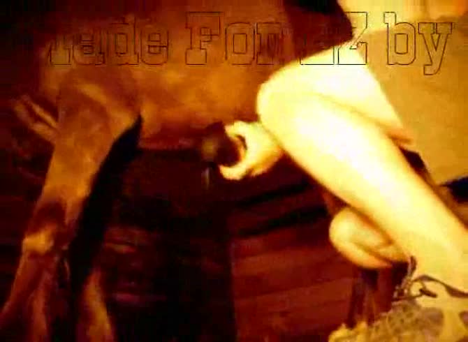 Video :Horse dick got jacked off by a nasty bitch
